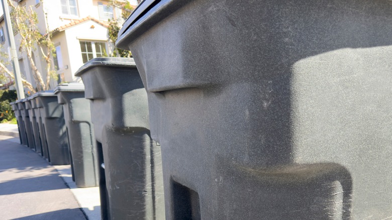 Black garbage bins with lids