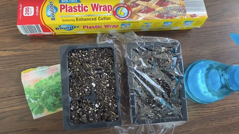 Seeds covered with plastic wrap