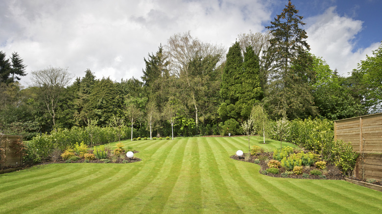 A large pristine, lawn mowed in a striped pattern