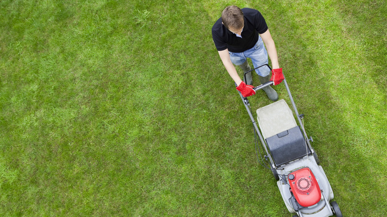 A person mowing a green lawn in a pattern