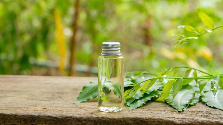 Neem oil in a bottle