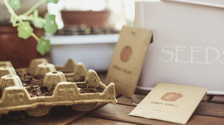 Seed trays and seed packets