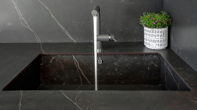 Black sink in the kitchen with stainless steel faucet and a plant in the corner