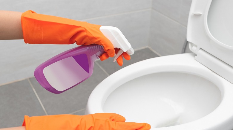 Cleaning toilet with liquid cleaner 