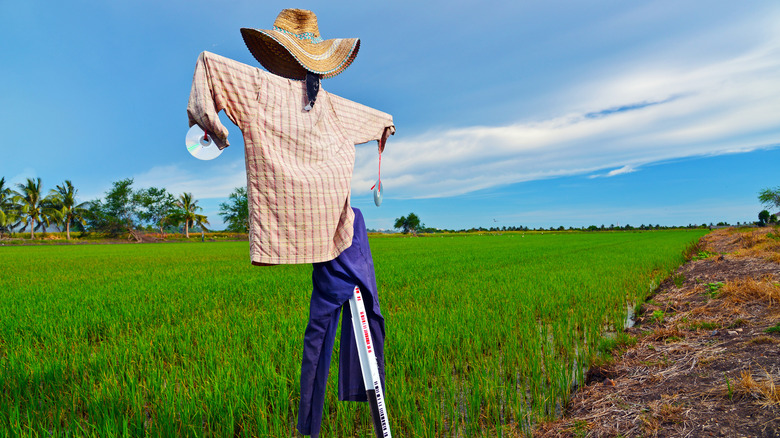 Scarecrow with CDs