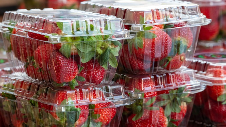 strawberry clamshell containers