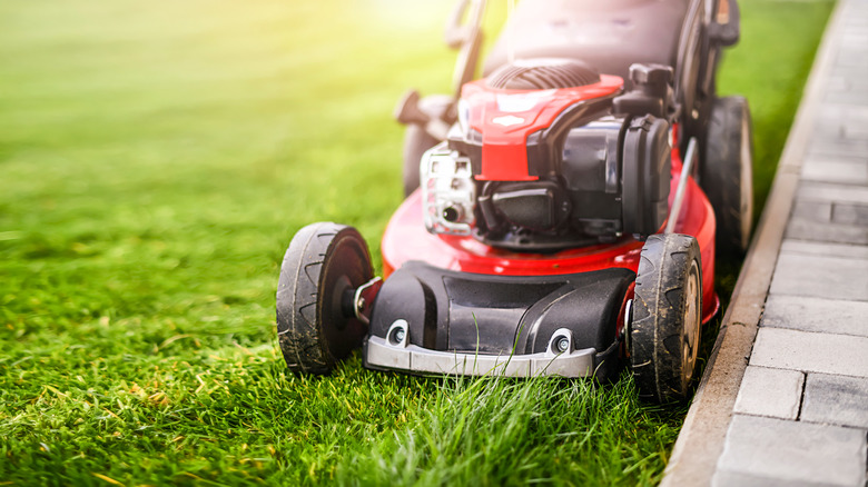 walk-behind Toro mower