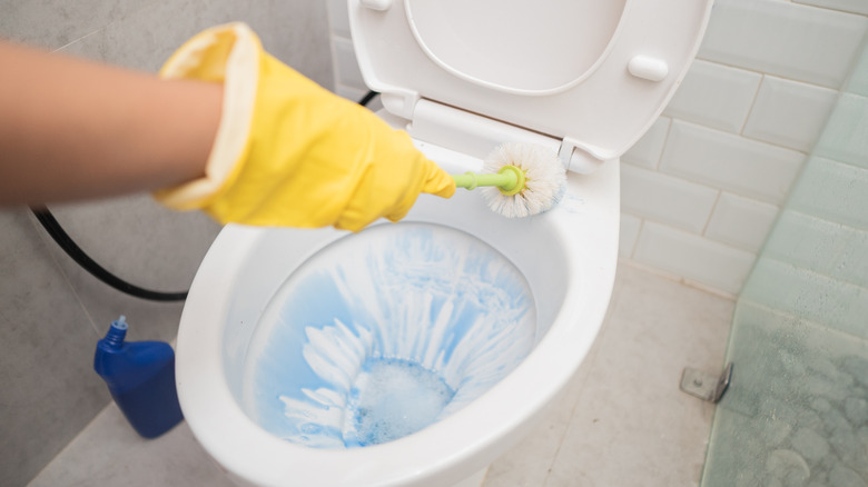 Gloved hand cleaning toilet