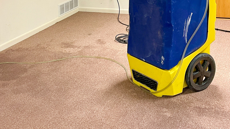 industrial dehumidifier drying water damaged carpet