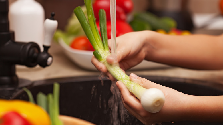 Washing vegetables in small sink