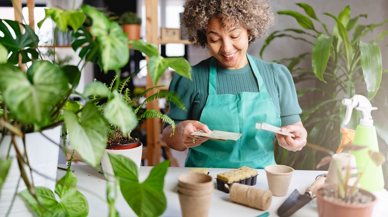 gardener preparing to plant seeds