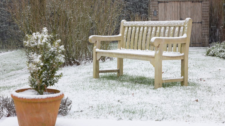 a lawn in the snow