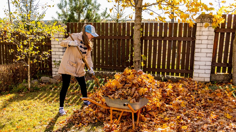 woman raking leaves in yard