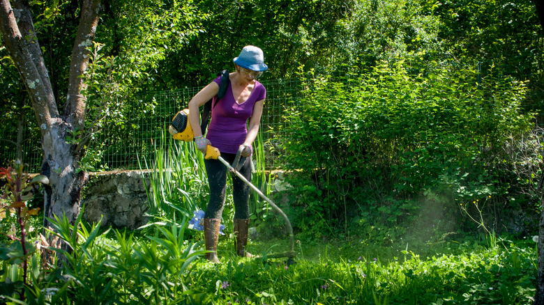 String trimmer tall grass