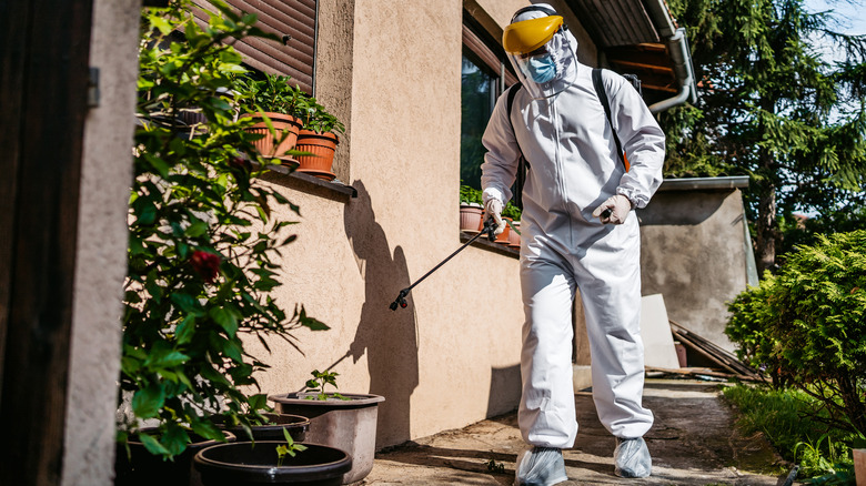 man in PPE spraying backyard