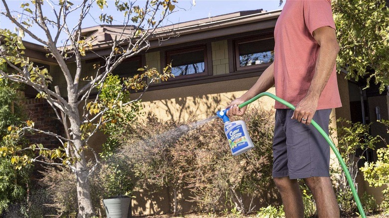 man spraying backyard