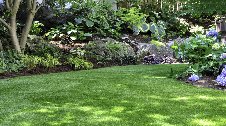 Mulch on a sloped yard with rocks and plants