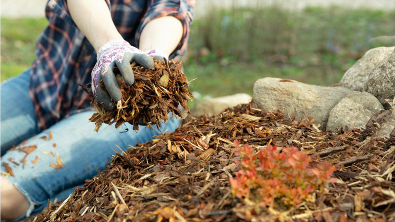 A woman with gardening gloves on moving mulch by hand