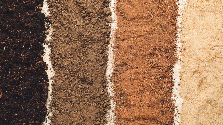 Four soil types