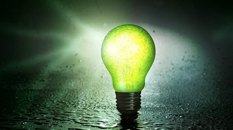 wet green lightbulb