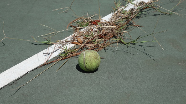 ball on overgrown tennis court