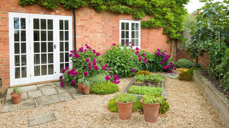 Flowers in gravel courtyard