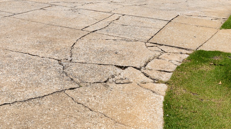 cracked driveway