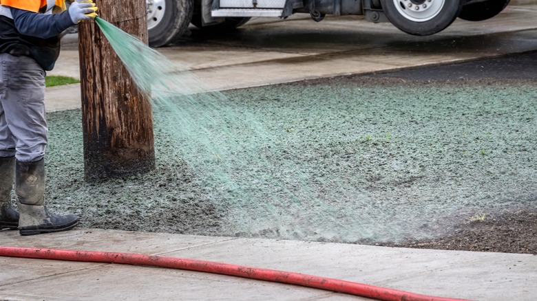 Professional hydroseeding lawn