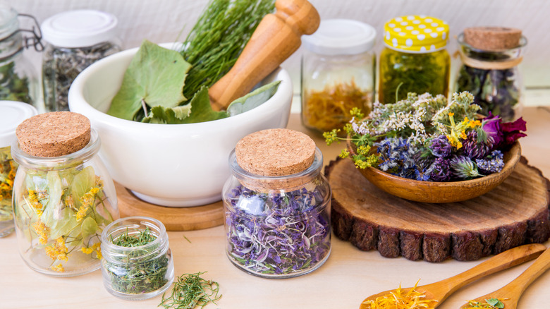 Apothecary jars with herbs