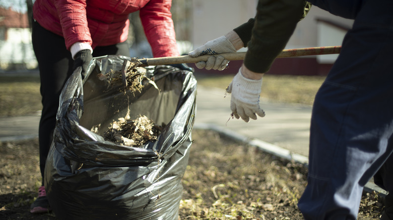 Disposing of garden waste