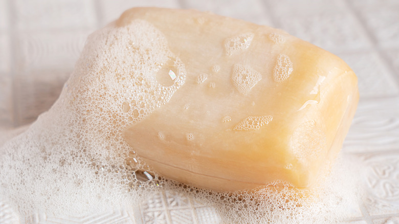 Bar of soap with suds sits on white tile floor