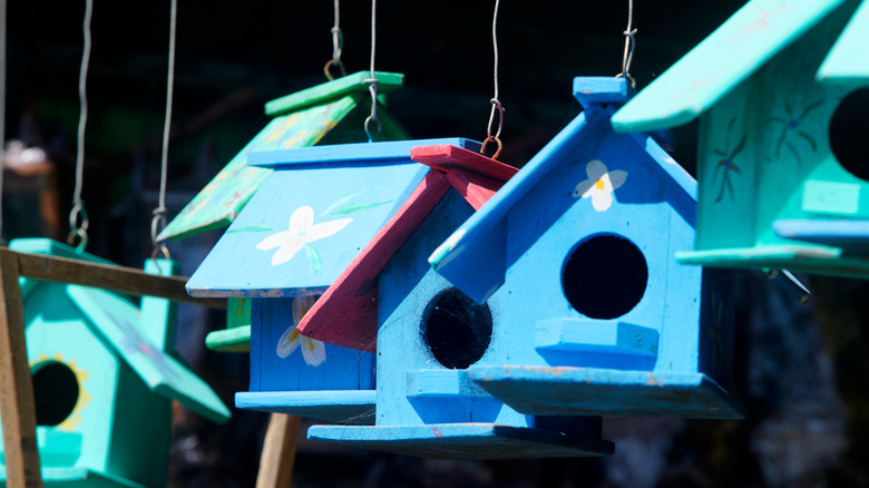 Birdhouses in blue and teal are hanging in a row.