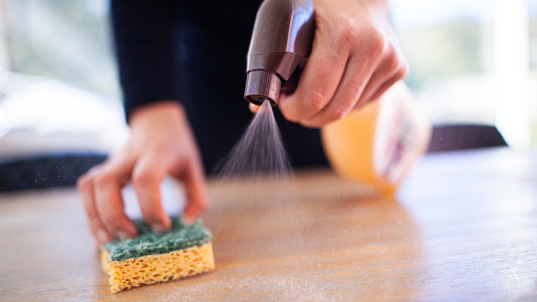 Person spraying cleaner on a sponge