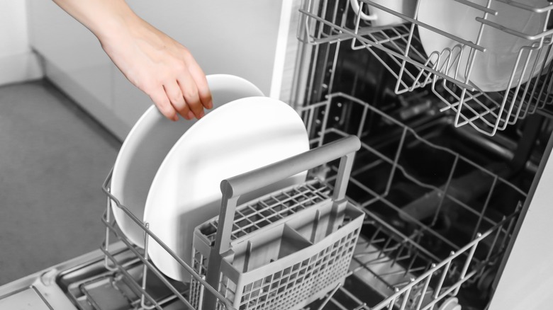 placing a plate in a dishwasher