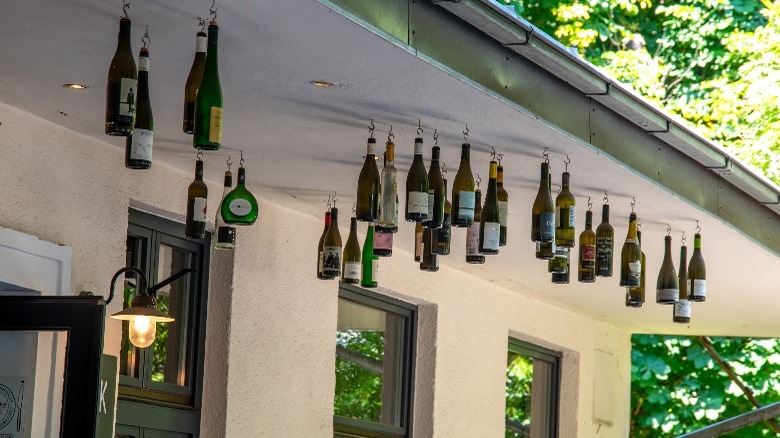 wine bottles hanging