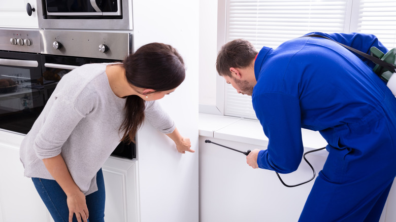 Exterminator sprays around kitchen