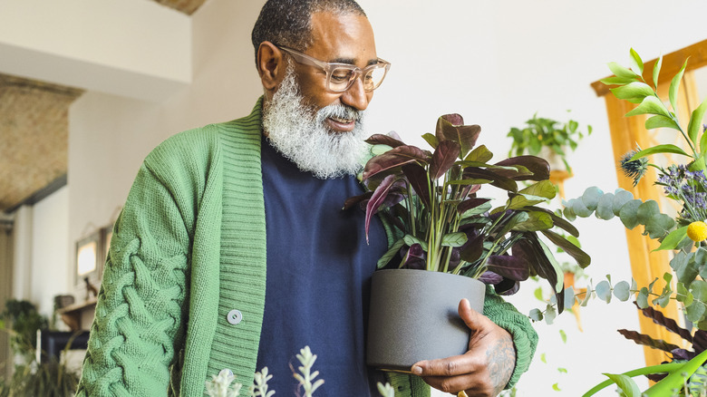 A man holds a potted plant and looks happy.