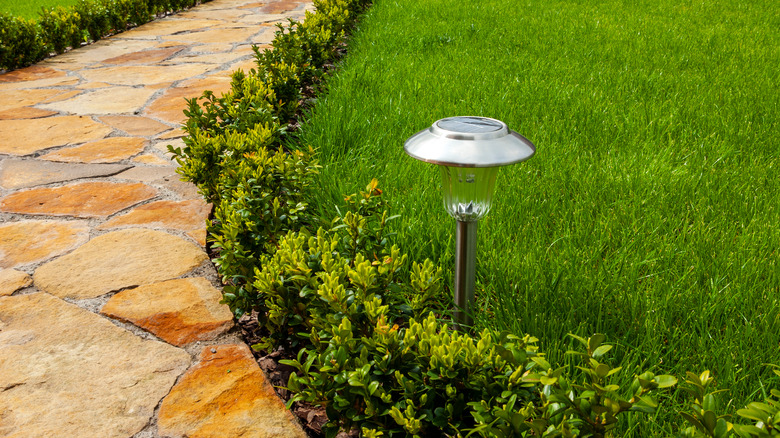 solar light stake in grass 