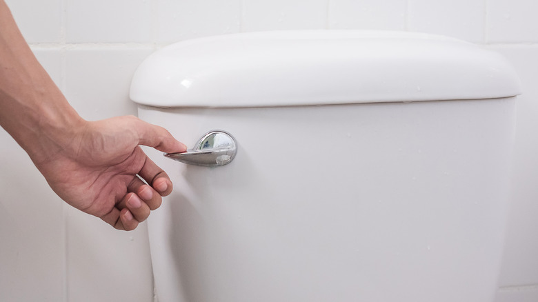 Hand pushing down on basic chrome toilet handle