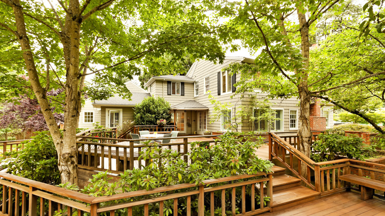 Terrace built around trees