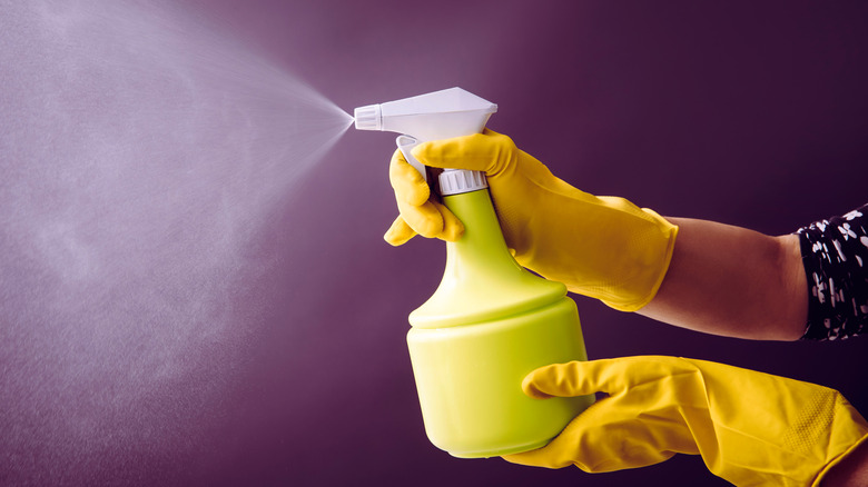 spraying vinegar from spray bottle