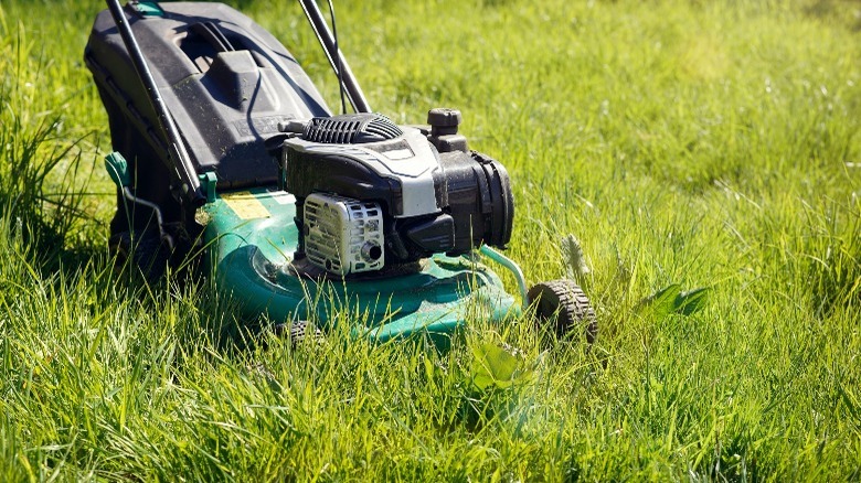 Lawnmower mowing overgrown grass 