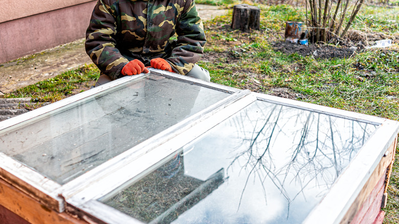 Cold frame framing