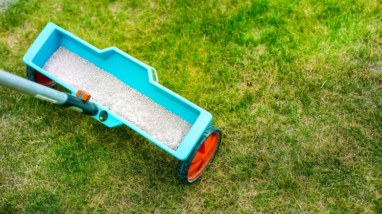 Small lawn spreader