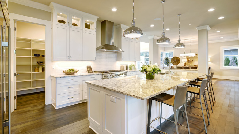 modern kitchen with a walk-in pantry to the side