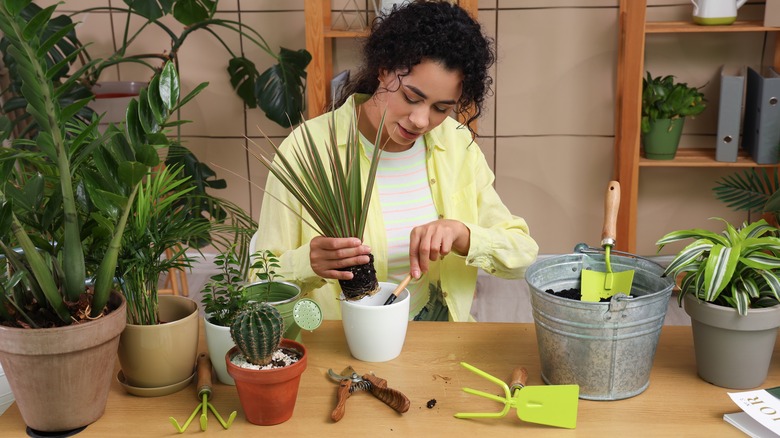 woman potting plants