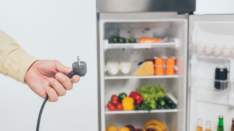 person holding refrigerator plug in front of opened refrigerator full of food