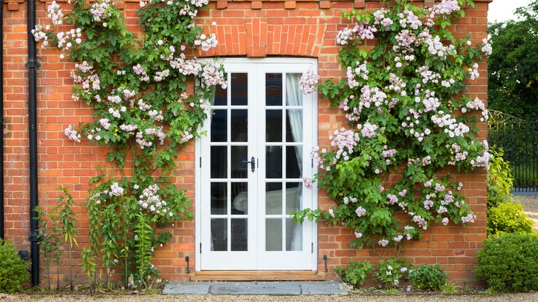 french doors with roses