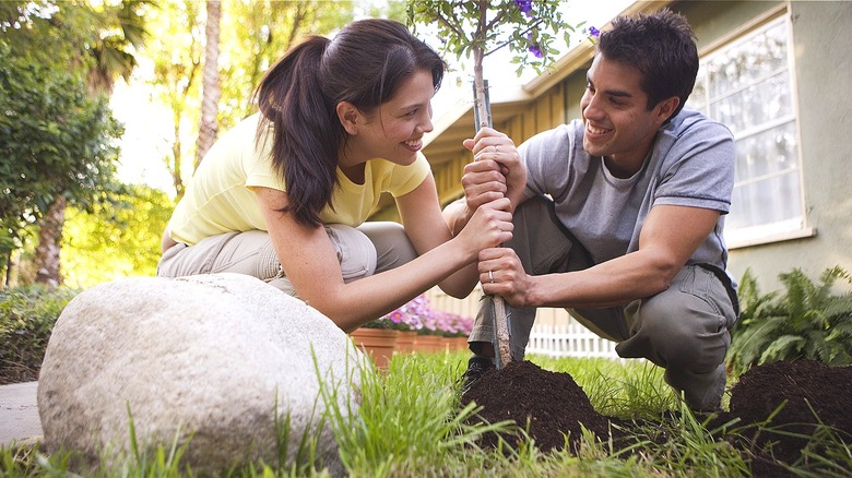 Family planting a tree