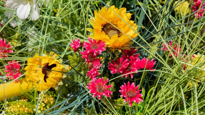 Flower bed and weeds